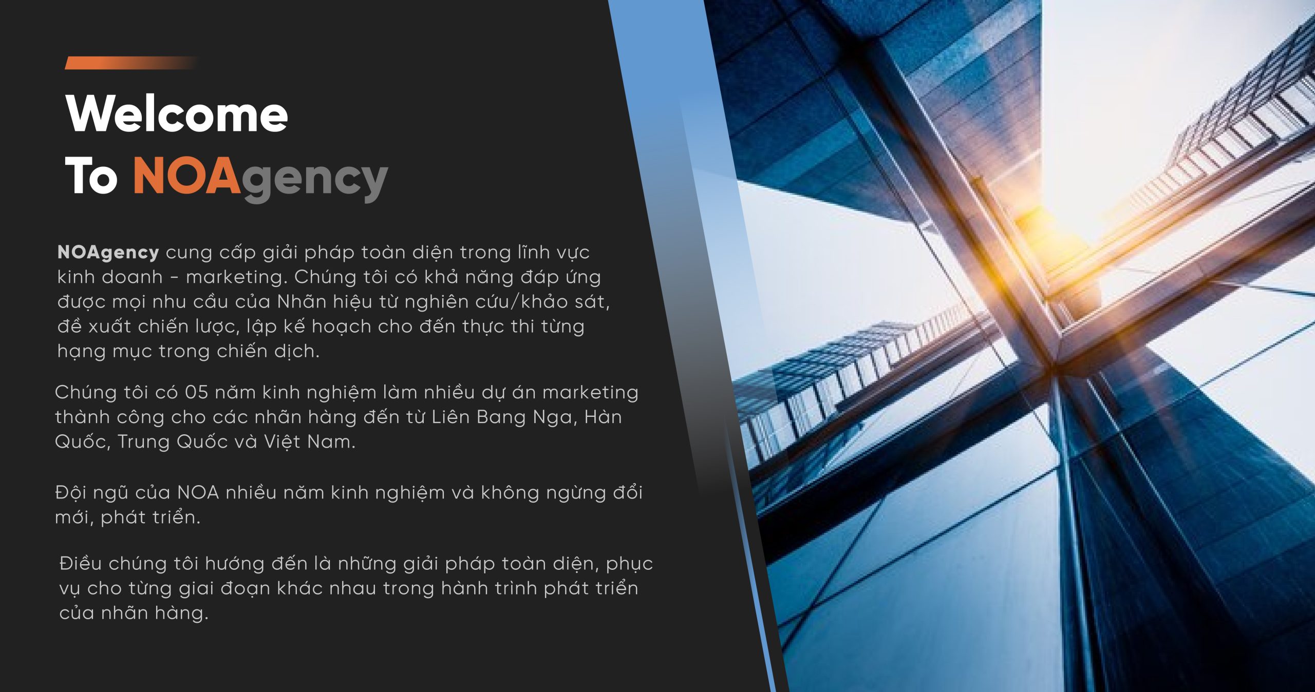 Hình infographic dịch vụ