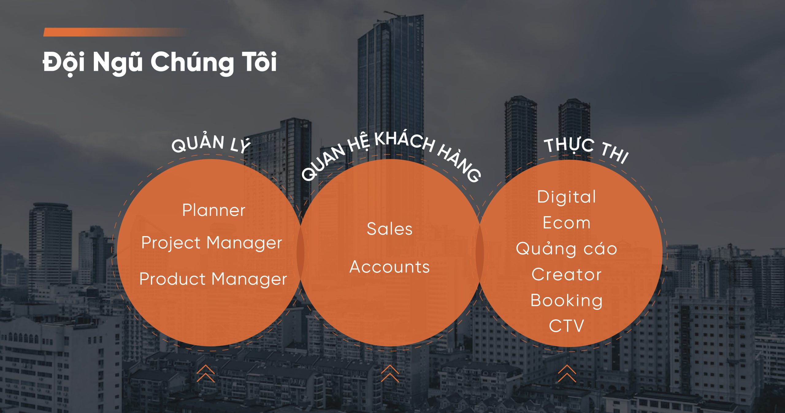 Hình infographic dịch vụ